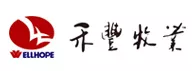&#24320;&#20113;&#32593;&#39029;&#29256;